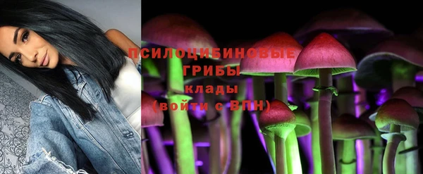 герыч Алзамай